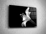 Wall Art Lilies