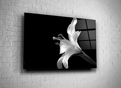 Genericc Lily Flover Nature Black White Print Glass Wall Art Tempered Glass Luxury Gift #TOP5