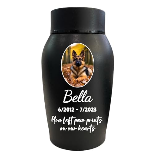Niopfoin Personalized Pet Urns for Dogs and Cats Ashes, Custom Pet Name for Cremation Urns, Dog Memorial Keepsake Urns for Ashes (Oval)