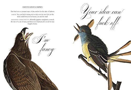 Effin' Birds: A Field Guide To Identification #TOP2