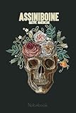  Assiniboine American Indian Tribe Floral Tribal Skull Retro Notebook: Skull Gothic Themed Journal Gift Under 10 Dollars For Family Friends 6x9 110 Pages Unique Design