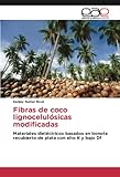  Fibras de coco lignocelulósicas modificadas: Materiales dieléctricos basados en bonote recubierto de plata con alto K y bajo Df