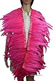 9 Color 2 Yard Long,10-12 inch Height Rooster Coque Feather Fringe Trim, for Skirt Dress Costume Roster Feather Trim (Candy Pink)