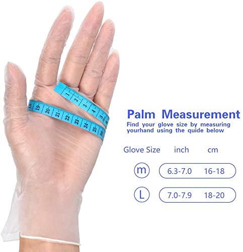 Fromm D8022 Powder Free Vinyl Clear Gloves, 100 Pack - Additional Sizes