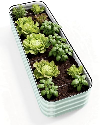 DaisyVibe Raised Garden Bed Kit (6.5ftx2ftx1ft)