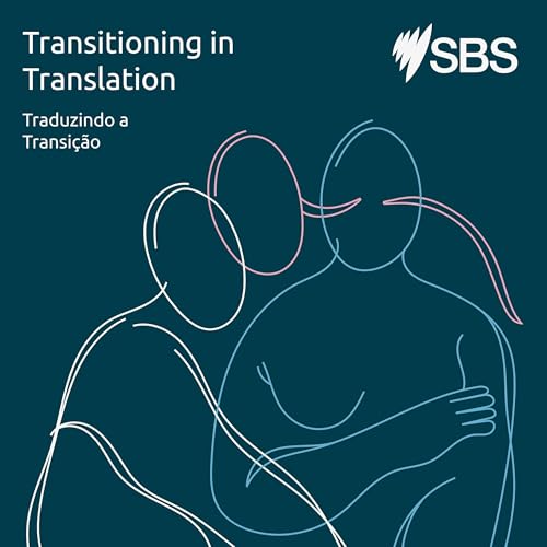 Transitioning in Translation - Traduzindo a transi&ccedil;&atilde;o Titelbild