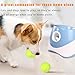 Automatic Dog Ball Launcher for Medium to Large Dogs, Interactive Tennis Ball Thrower, USB Rechargeable Ball Thrower, with 10-30Ft, for Energetic Dogs (3 Tennis Balls)