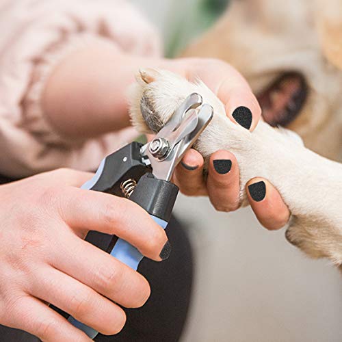 LDJZON Pet Nail Clippers and Trimmers Set Safety Guard to Avoid Over Cutting Razor Sharp Blades Grooming Tool for All Small Large Dog Cat Blue