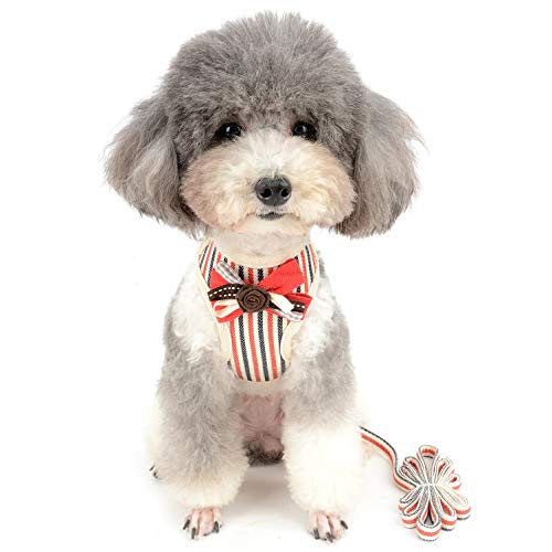 最安値 Ranphy Ranphy ペット ハーネス 小型犬 犬 猫 用 ハーネス 首輪 リード セット 通気性 メッシュ 人気 縞 胸あて式 抜けない 胴輪 ハーネス 可愛い 蝶結び 花付け 安全 軽量 訓練 咳き込み軽減 超小型犬 子犬 散歩用 出かけ用 レッド