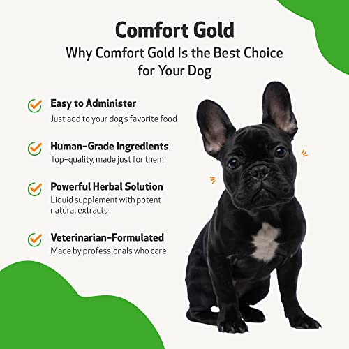 Pet Wellbeing Comfort Gold For Dogs - Natural Pain Relief For Canines - 2 Oz (59Ml) #TOP3
