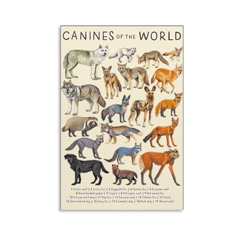 CYPGTBCK Canines Poster - Wolf Dog Fox Animal Knowledge Canvas Art - Modern Family Bedroom Decor - 12x18inch (30x45cm)