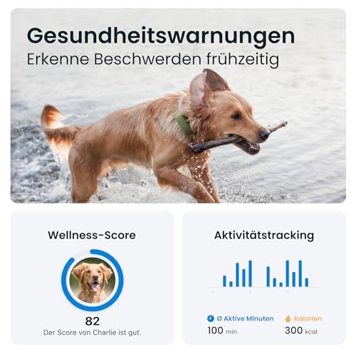 GPS-Tracker für Hunde Tractive XL mit Echtzeit-Ortung