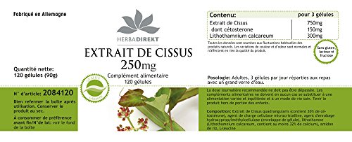 Cissus quadrangularis Kapseln 250mg – 120 vegane Kapseln