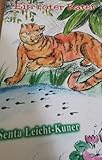 Ein roter Kater