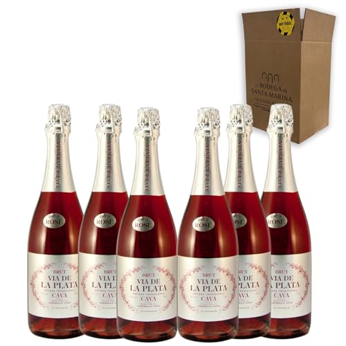 Cava Vía de la Plata Rosado - Para Disfrutar en Celebraciones y con los Tuyos - Pack 6 Botellas 75cl