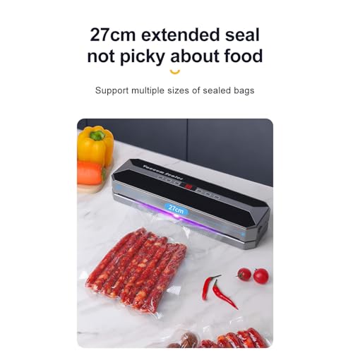 Scelleuse sous vide portable compacte avec contrôle simple pour préserver vos aliments