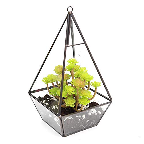 Maceta de cristal para colgar en la pared, diseño de pirámide geométrico (12 x 12 x 25 cm), color negro, negro