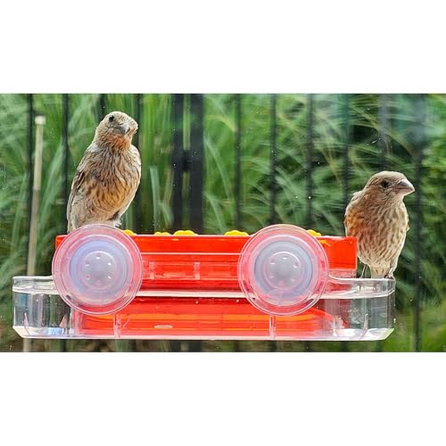 2 Pack Window Hummingbird Feeders, Strong Suction Cups Hummingbird Feeder, Plastic Humming Bird Feeder with 4 Feeding Ports, Easy to Clean and Refill, 10 Ounces by LuniosisL - Image 9