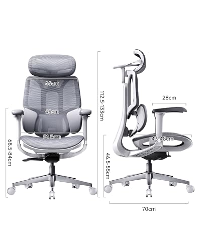 Image of Hbada E3 Air Ergonomic Office Chair, 3-Zone Lumbar Support, Comfy Home Office Chair with Auto Recline, 4D Headrest & Armrests, 140 Tilt for Work & Relax, Mist Gray