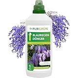 Purgrün