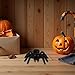 UTHCLO 4 Piezas Arañas de Realistas para Halloween Figuras de Broma y Decoración Espeluznante Juguetes de Miedo para Fiesta Temática y Aprendizaje Educativo Imagen de UTHCLO 4 Piezas Arañas de Realistas para Halloween Figuras de Broma y Decoración Espeluznante Juguetes de Miedo para Fiesta Temática y Aprendizaje Educativo