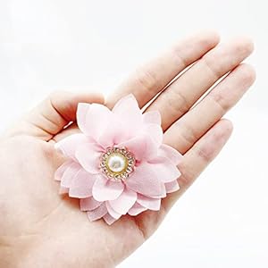 Collar Flowers with Pearl, 20 Pcs Dog Collar Flowers Bow Ties Multi-Color Dog Charms Flower for Cat Dog Puppy Collar Grooming Accessories(Small) Collar Flowers with Pearl 20 Pcs Dog Collar Flowers Bow Ties Multi Color Dog Charms Flower for Cat Dog Puppy Collar Grooming AccessoriesSmall