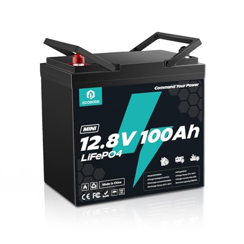 ECOBOSS 12V 100Ah Mini Lithium Battery, Group 24 LiFePO4 Battery, 120A Smart BMS, Low-Temp Cutoff Protection, 1280Wh, 15000+ Cycles, Ideal for RV, Boat, Marine, Trolling Motor, Off Grid Solar