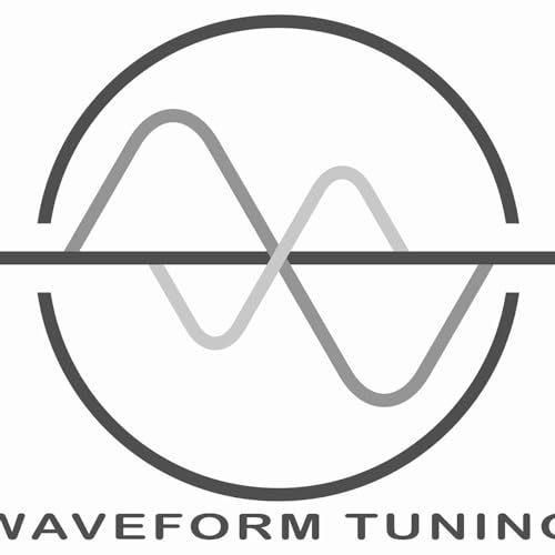 Inside the Mind of a Master Tuner. How Miguel Rios is Revolutionizing Car Audio One System at a Time
