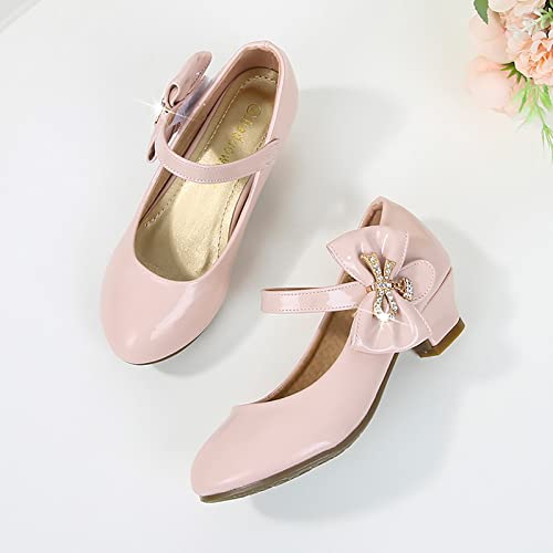 Girls Dress Shoes Low Heel Princess Flat Mary Jane Flower Wedding Party Glitter Shoes For Little/Big Kids4