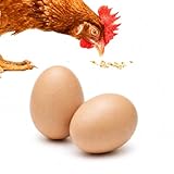 SunGrow Fake Wooden Eggs to Train Birds from Laying in The Nesting Boxes & to Stop from Eating Own Eggs, Brown Color, 2 Pack Suitable for Chicken and Duck
