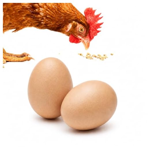 SunGrow Fake Wooden Eggs to Train Birds from Laying in The Nesting Boxes & to Stop from Eating Own Eggs, Brown Color, 2 Pack Suitable for Chicken and Duck