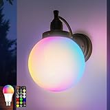 FTL RGB Applique Murale Extérieure Globe, Dimmbar Porche Luminaire Lanterne Exterieur avec Télécommande, Timer&Million Couleurs, E27 LED Éclairage Mural d'Extérieur für Jardin, Ampoule Incluse, IP44