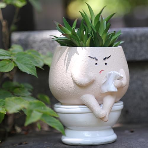 NINIPAPA Funny Face Toilet Planter with Drainage Hole for Indoor