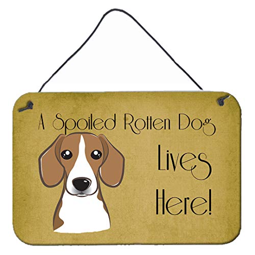 Caroline's Treasures BB1487DS812 Beagle Spoiled Dog Lives Here Wall or Door Hanging Prints Aluminum Metal Sign Kitchen Wall Bar Bathroom Plaque Home Decor, 8x12, Multicolor
