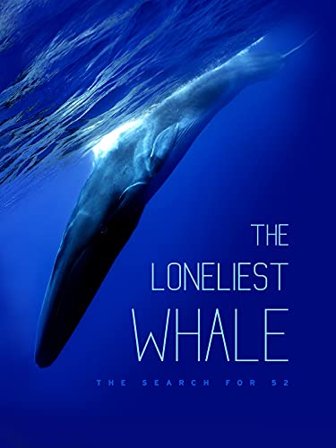 The Loneliest Whale