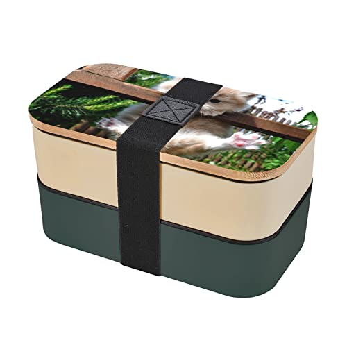 面白い 箱 キッチン用品の人気商品 通販 価格比較 価格 Com