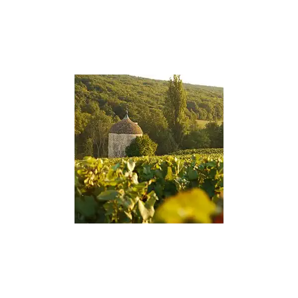 Cave De Lugny, Brut Rose, 750 mL 3