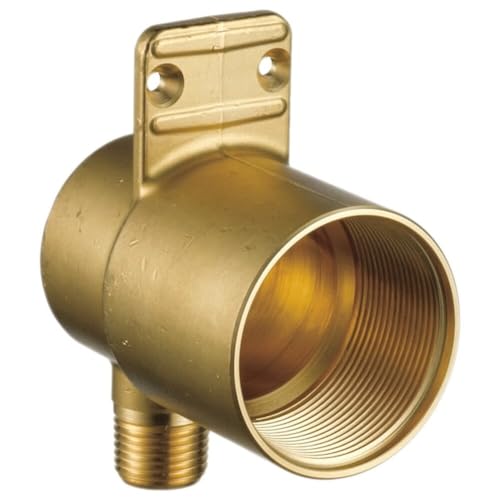 Delta Faucet R50200 Body Spray Rough Chrome, 2.69 x 3.47 x 2.50 inches