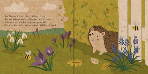 Meine Gartenfreunde. Der kleine Igel: Pappbilderbuch über heimische Tiere für die Kleinsten