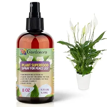 Plant Superfood for Peace Lily Plants with B1 Vitamin, Glucose, and Essential Minerals - Organic Fertilizer - 8oz