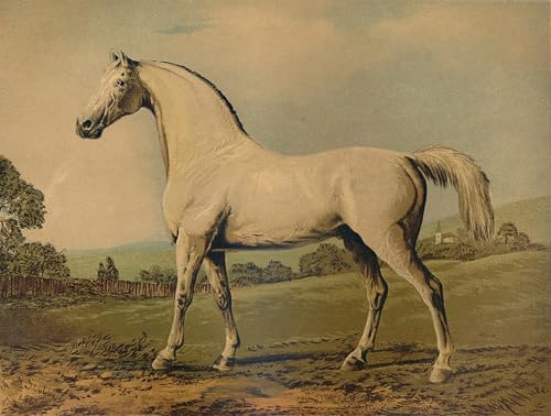 Impression George Stubbs Mambrino tableau de maître contemporain