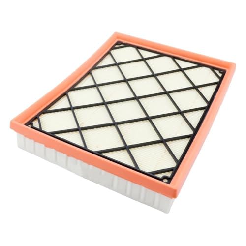 Filtre à air moteur de qualité supérieure pour Focus IV et Kuga