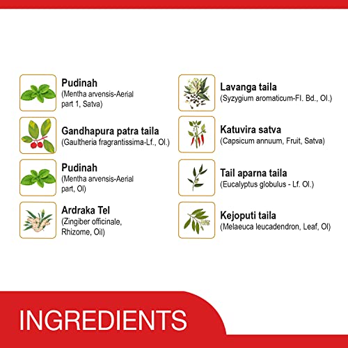 Image of AMRUTANJAN NEW MAHA STRONG PAIN BALM 8 ML - PACK OF 6