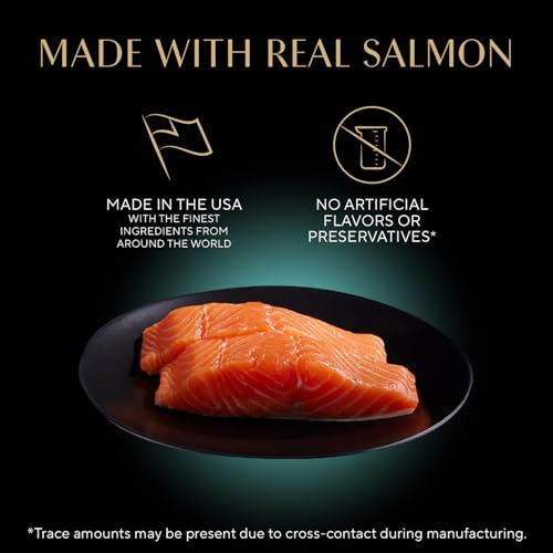 Sheba Perfect Portions Bistro Wet Cat Food, Salmon, 2.6 oz, 24 countt - image 2