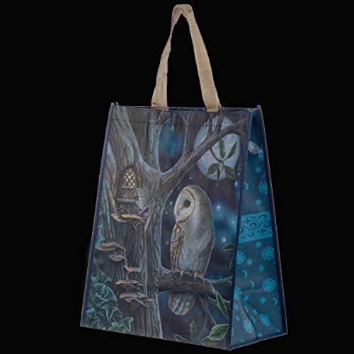 Fairy Tales Owl and Fairy Lisa Parker Reusable Shopping Bag-NWBAG63