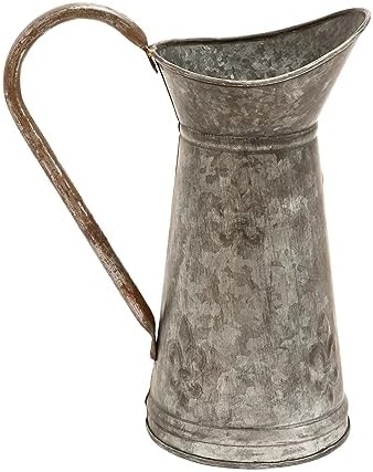 Deco 79 Metal Watering Can Indoor/Outdoor Planter, 10" x 6" x 12"...