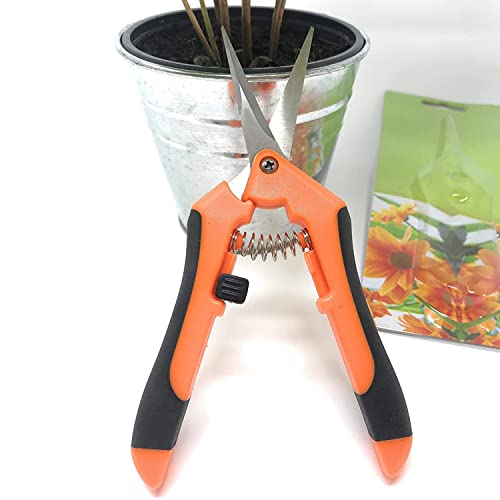 Trimmers Secateurs Hand, 6.5 Inch Professionele Secateurs Sharp Bypass Tree Trimmers for Branches Flowers Fruit Planten… - Afbeelding 4