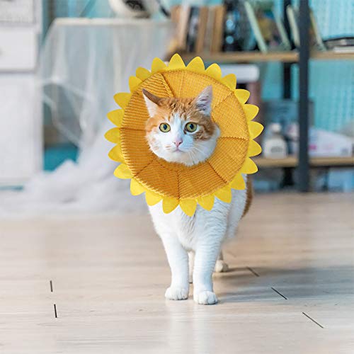 soft cone collar for cats