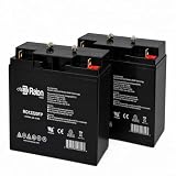Raion Power 12V 22Ah Compatible Replacement Rechargeable AGM Battery for Electric Mobility Rascal 320 Powerchair - 2 Pack