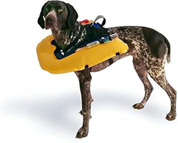 super feeder automatic cat feeder